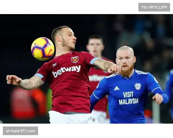 布伦特福德中场雅内尔特仍需休养 数周内无法参加比赛 布伦特福德中场雅内尔特仍需休养 数周内无法参加比赛